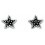 Earring-star in 925/1000 silver