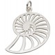 My-jewelry - D4261 - Collar chic shell in 925/1000 silver